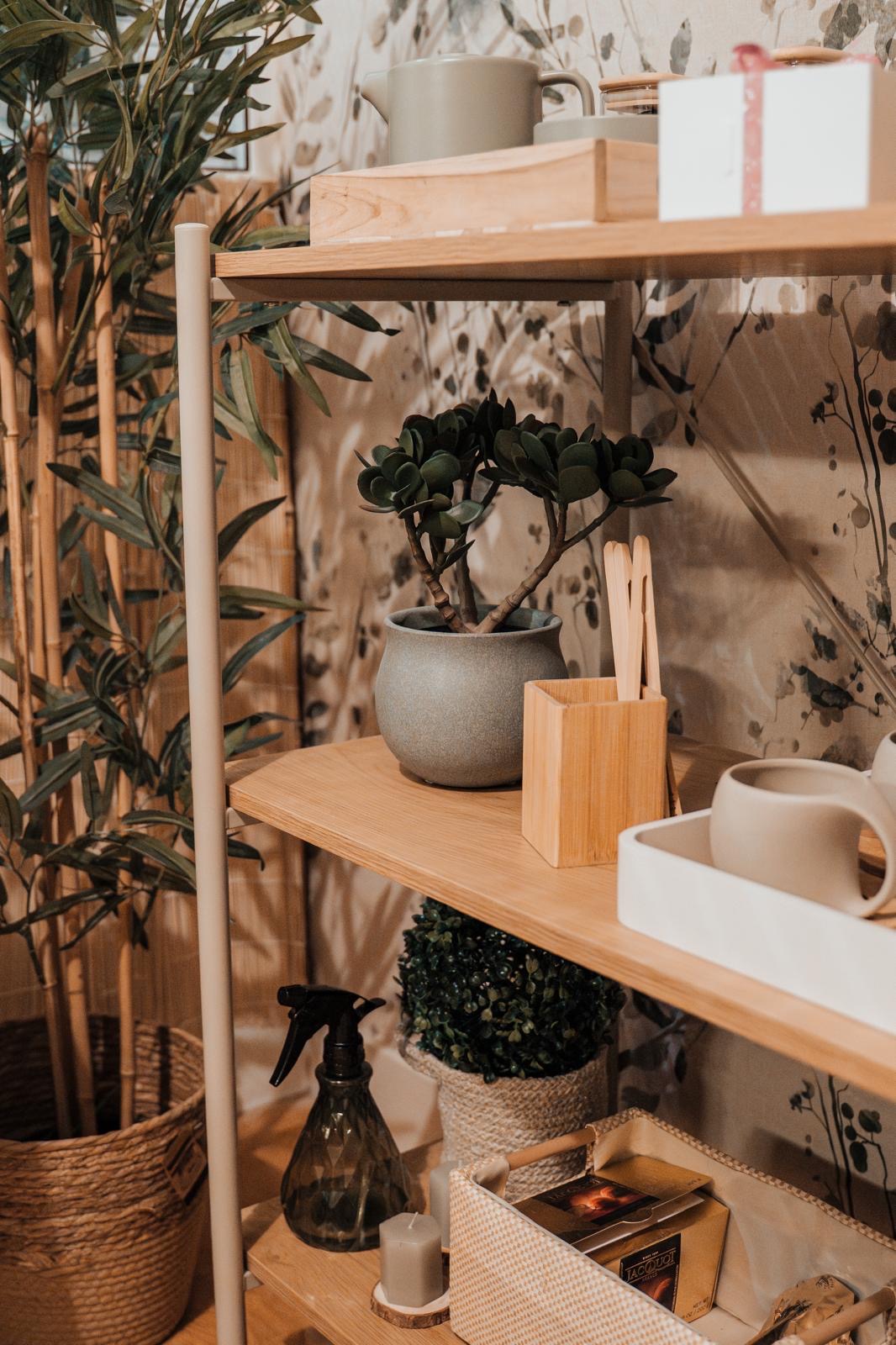 Estante com plantas, velas e acessórios do espaço